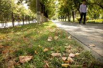 ИИ синоптик: В Ростове ожидается преимущественно ясная погода