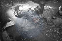 Отошел ненадолго: у жителя Батайска возле дома украли грабли