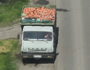Шестерых «серых возчиков» поймали в Ростове