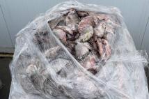 На Дону сотрудники ФСБ изъяли контрафактную рыбу на сумму более 2 млн рублей