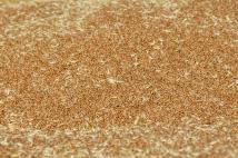 Ростовские банки пролонгировали 54 льготных кредита для аграриев