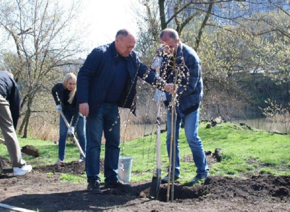 После критики губернатора в Красном Сулине высадили 300 деревьев - ДОН24, 20.04.2026