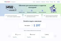 Бесплатные ИТ-курсы, дающие допбаллы к ЕГЭ, открыли для донских школьников