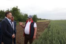 Новые меры поддержки фермеров и участников СВО введены в Ростовской области