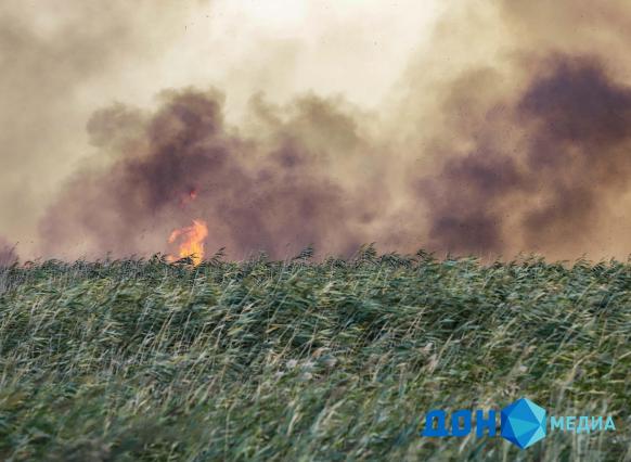 В 32 муниципалитетах Дона ожидается высокая пожароопасность - ДОН24, 25.08.2026
