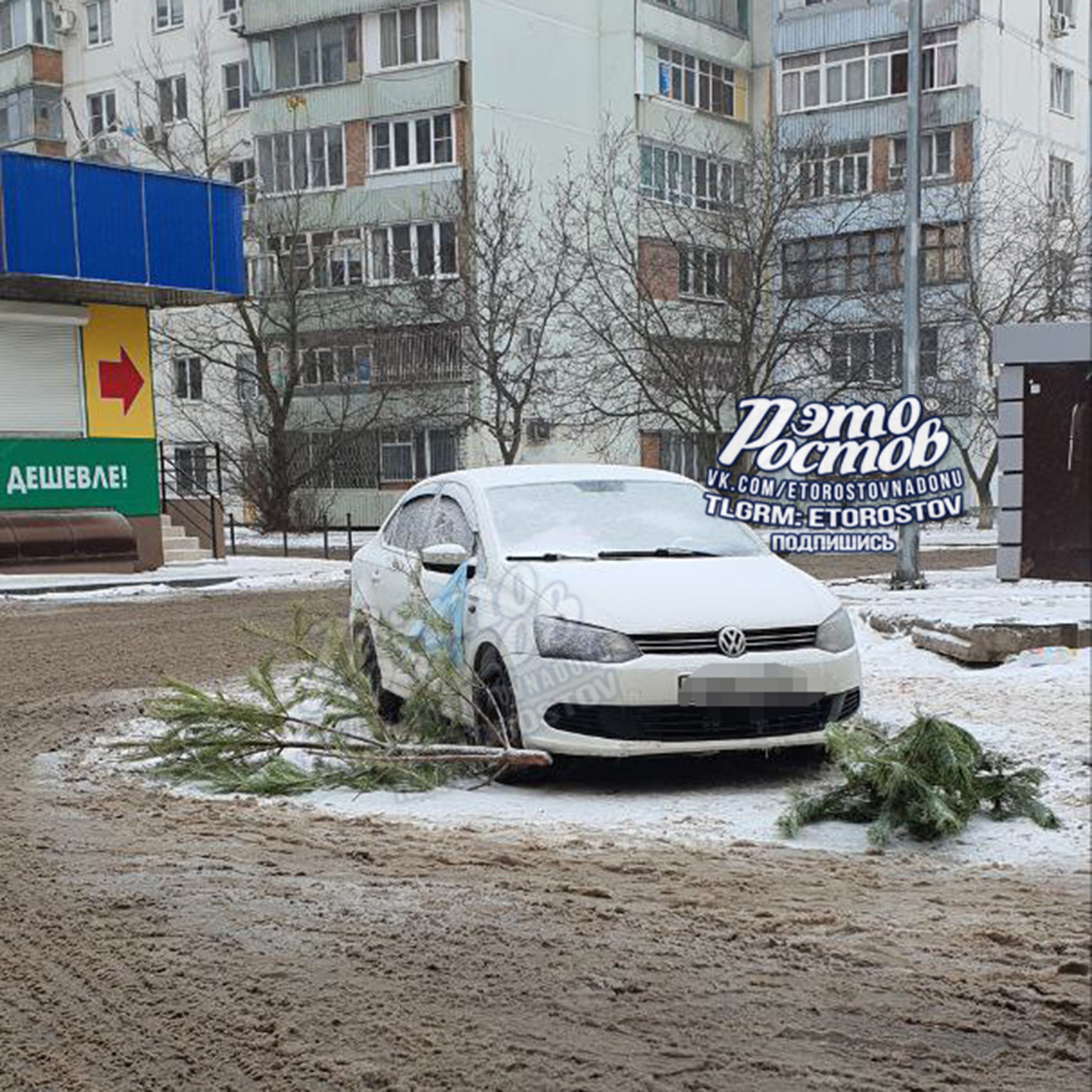 ДОН24 - В Ростове автохама наказали елками