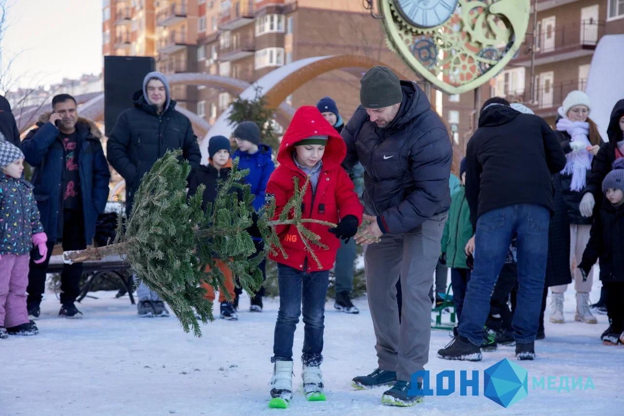 ДОН24 - Фото: в Ростове прошел чемпионат по метанию елок