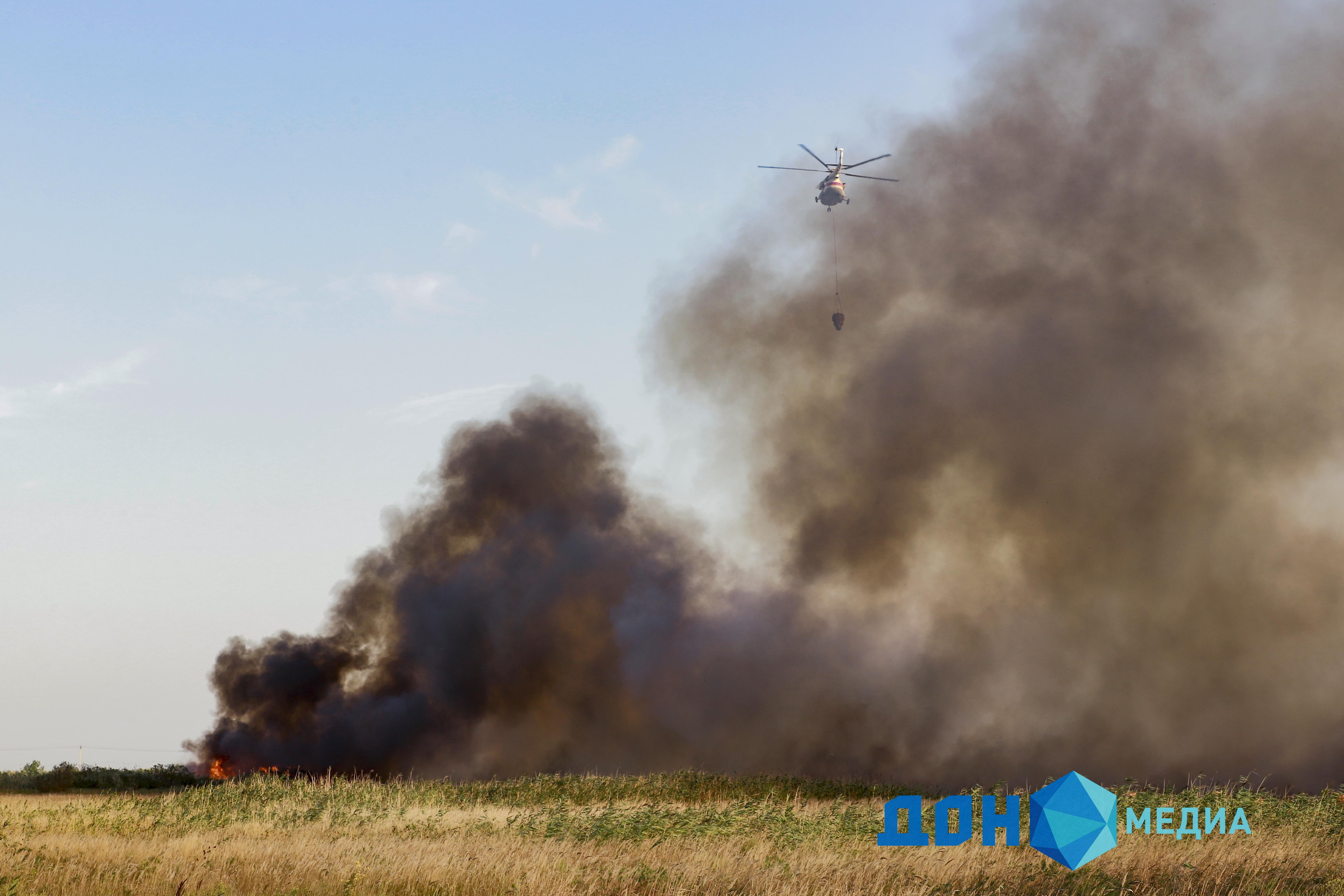 ДОН24 - В Тарасовском районе снова загорелся лес