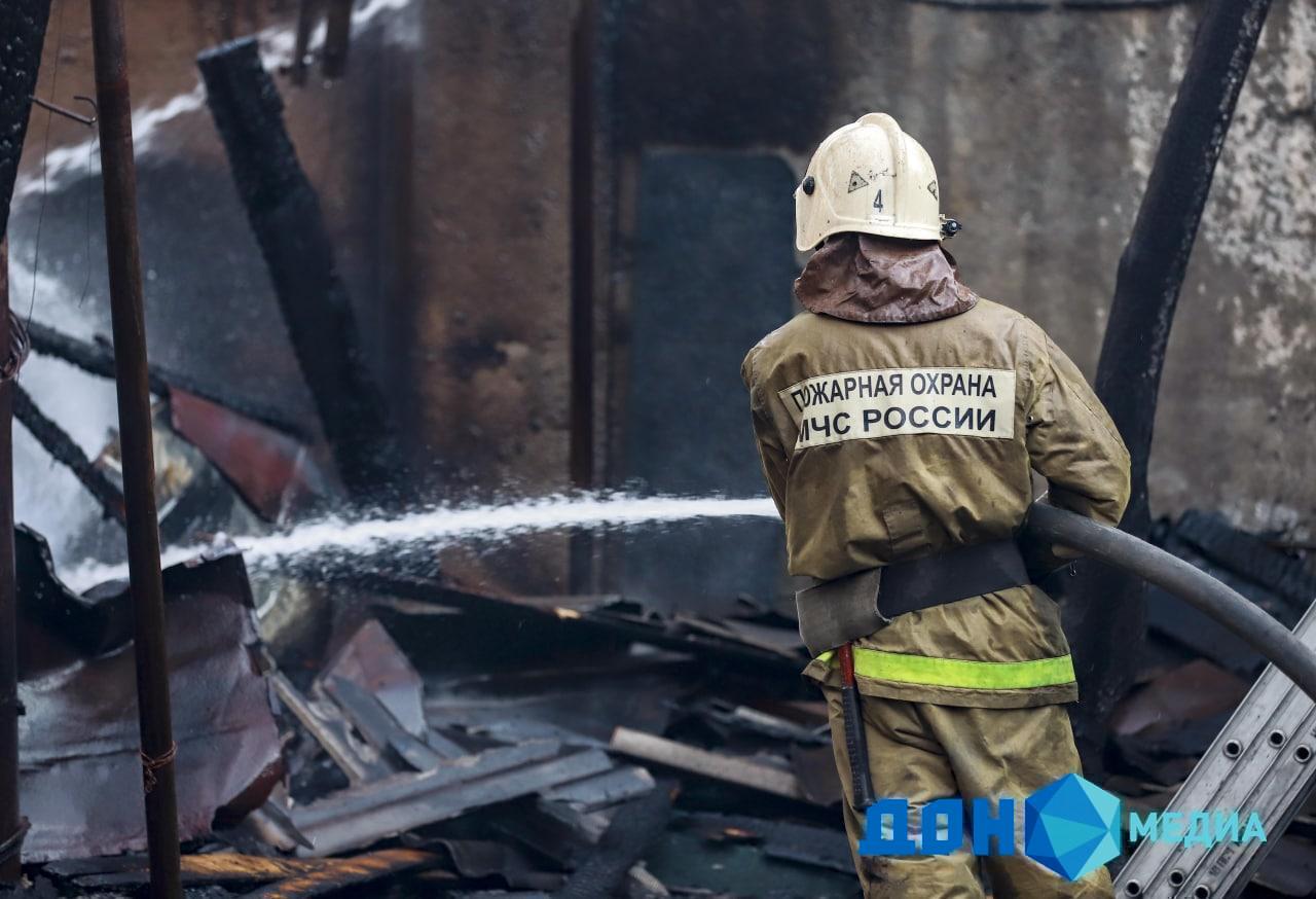 ДОН24 - Из горящего дома в Батайске были спасены котенок и собака