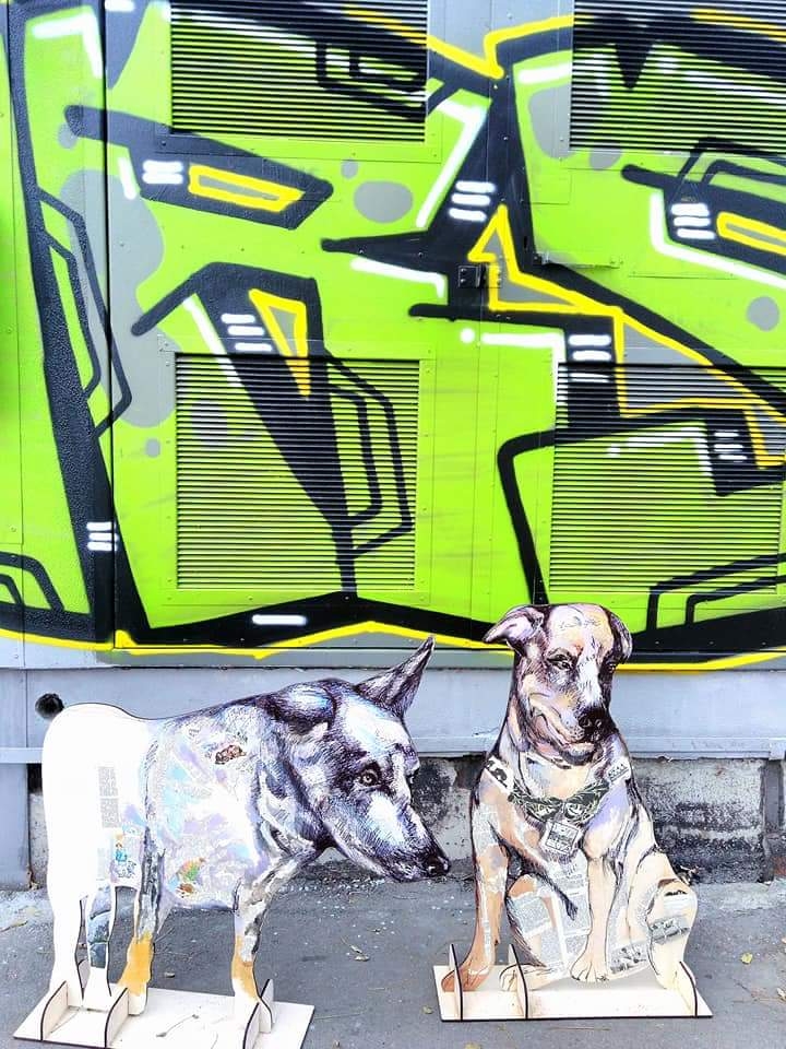 Выставка собак нарисованная. Выставка собак рисунок. Рисунок фонда собака на выставке. Выставка собак здание рисунок.