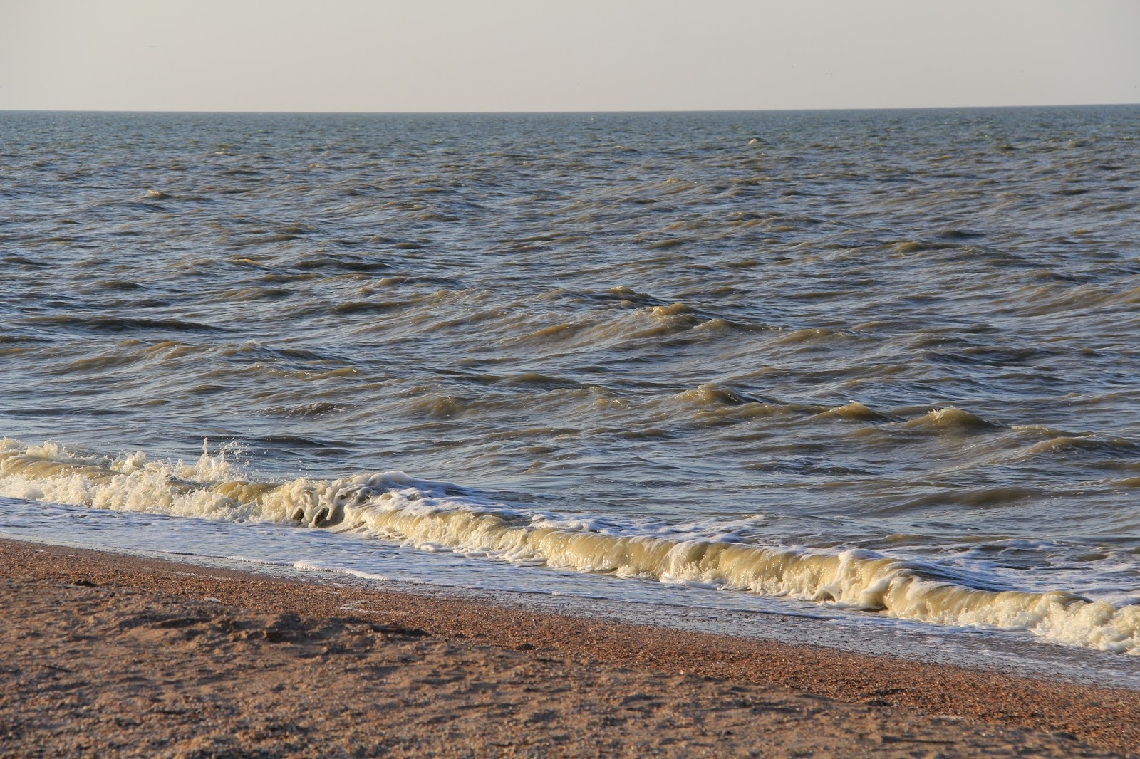 Вода в заливе сегодня. Таганрогский залив Азовского моря. Таганрогский залив Ейск вода. Таганрогский залив заливы Азовского моря. Берегоукрепление Ейск Таганрогский залив.
