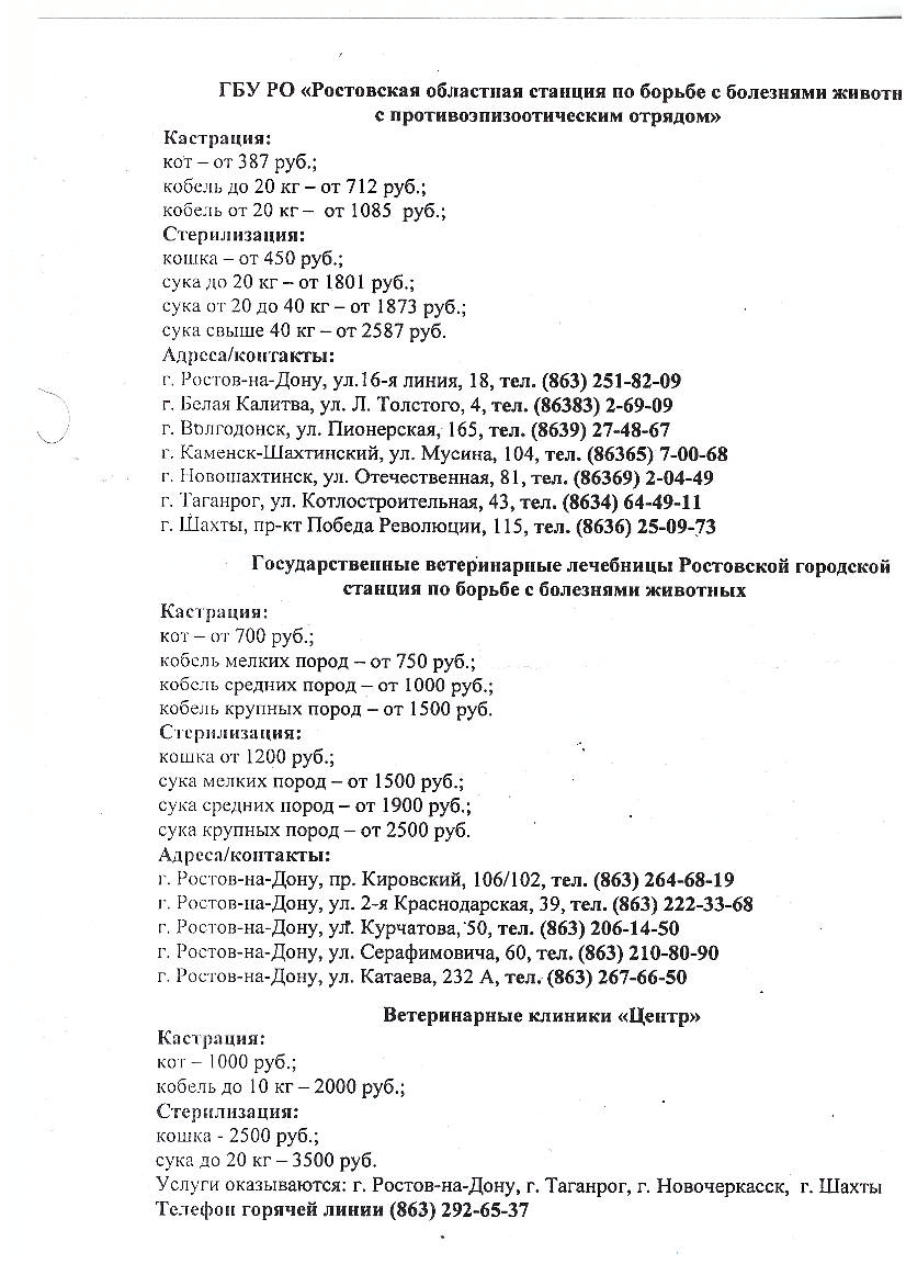 ДОН24 - В два раза дешевле: на Дону впервые проведут День стерилизации и  кастрации домашних животных