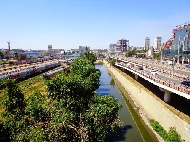 Фото темерника в ростове