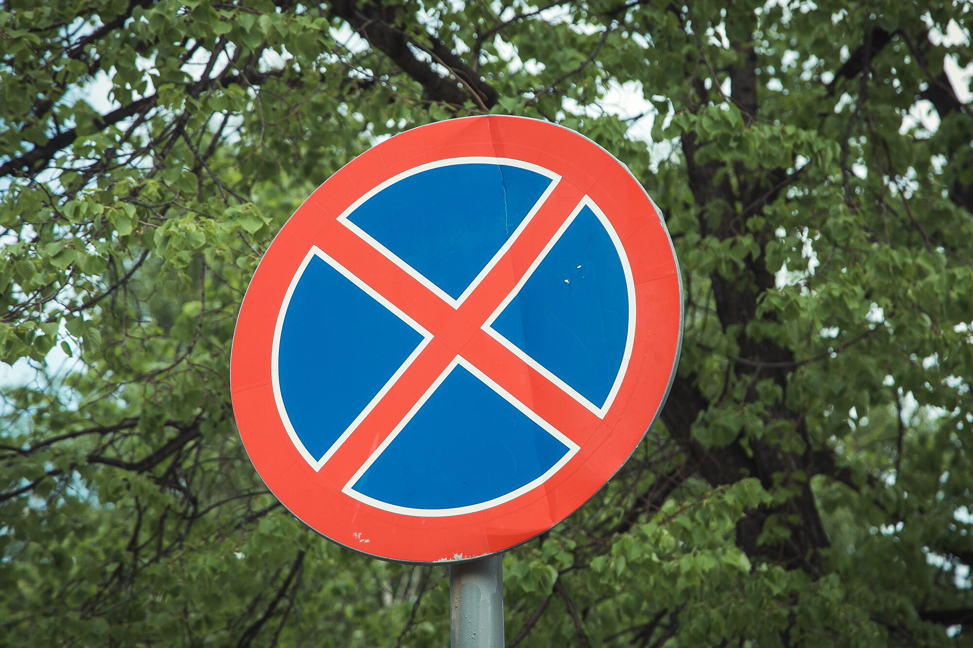 Как выглядит знак остановка запрещена фото