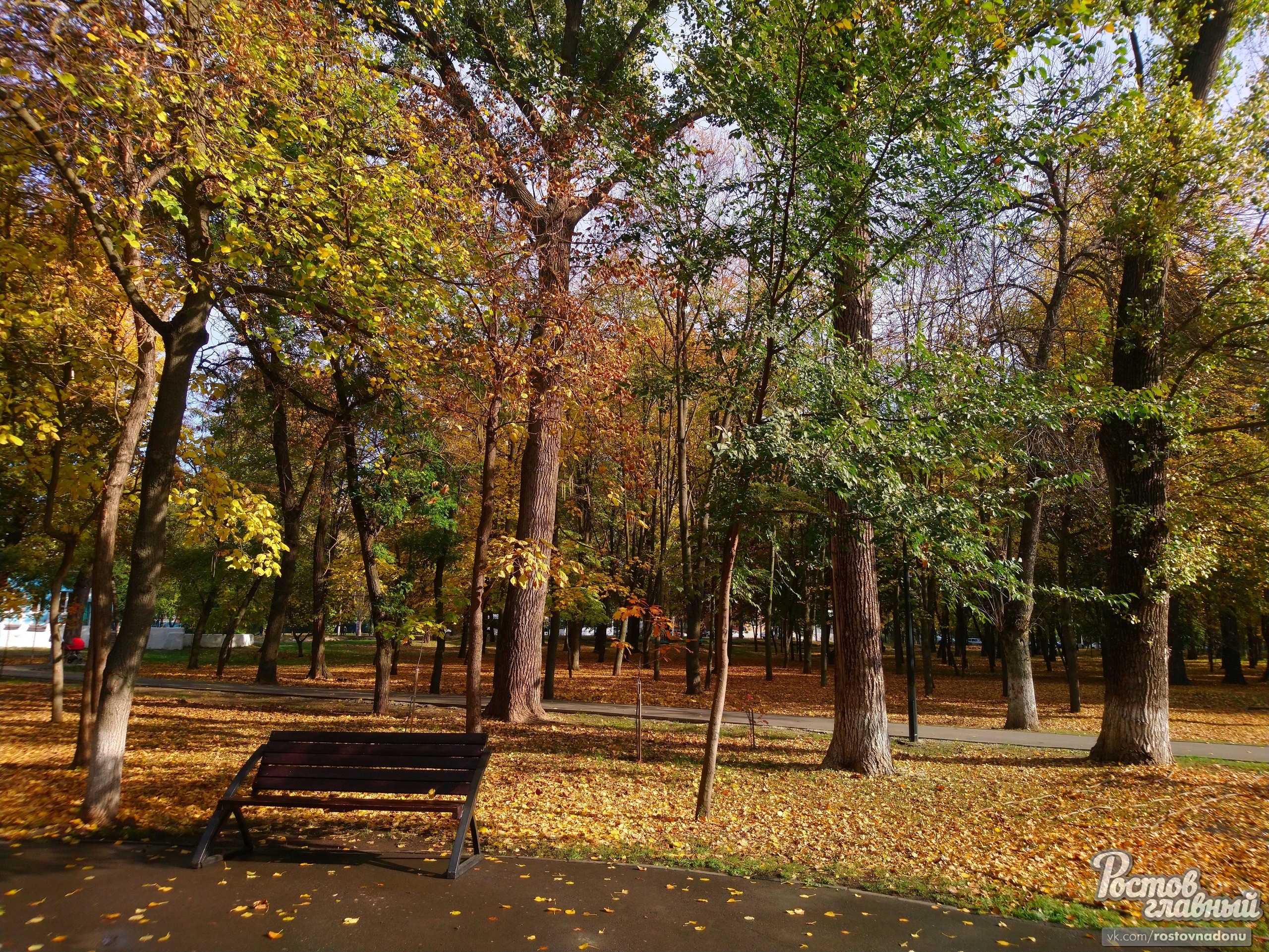 Комсомольский парк ростов на дону фото