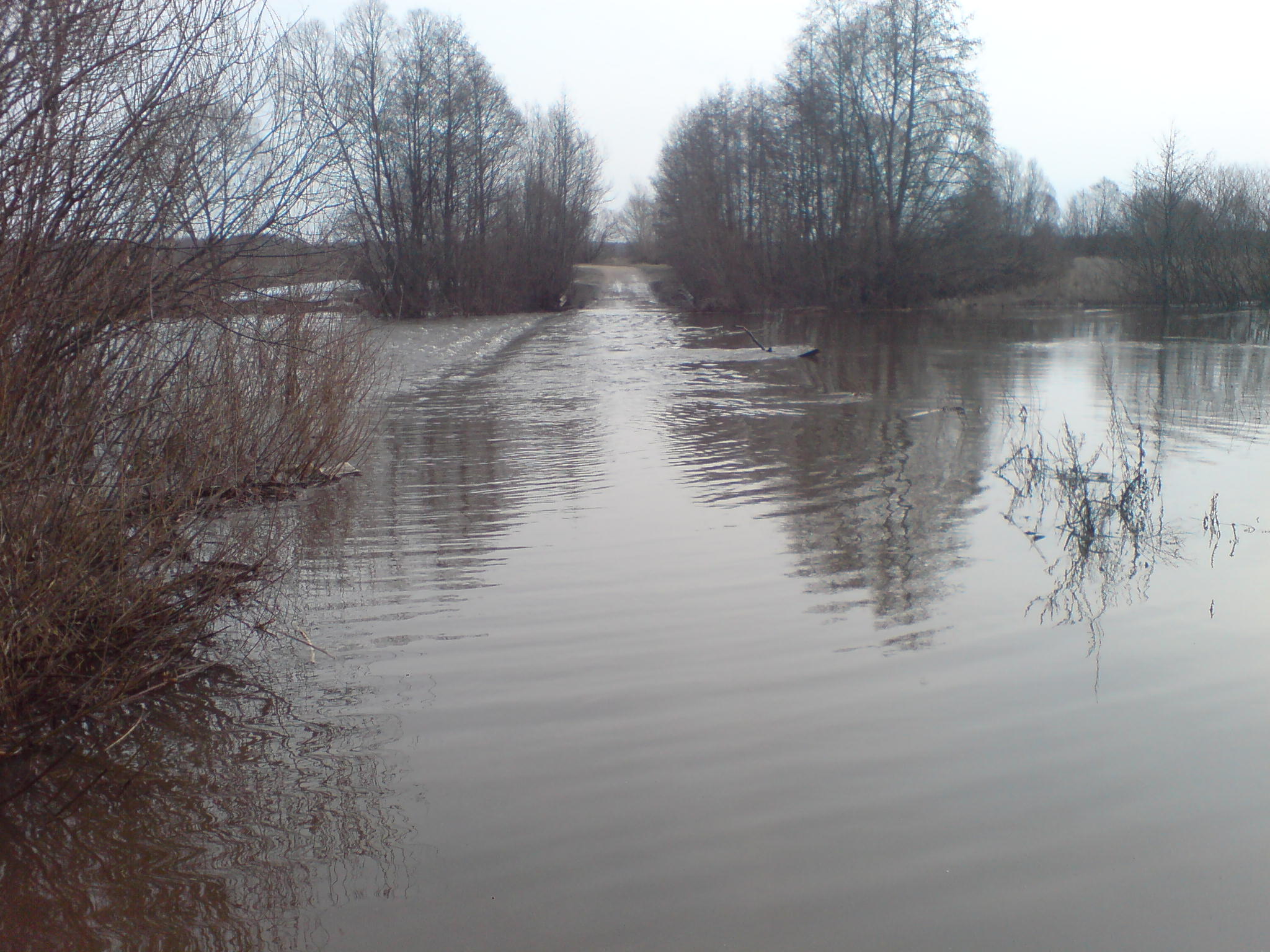 Подтопленные мосты в Рязанской области Скопинский районы
