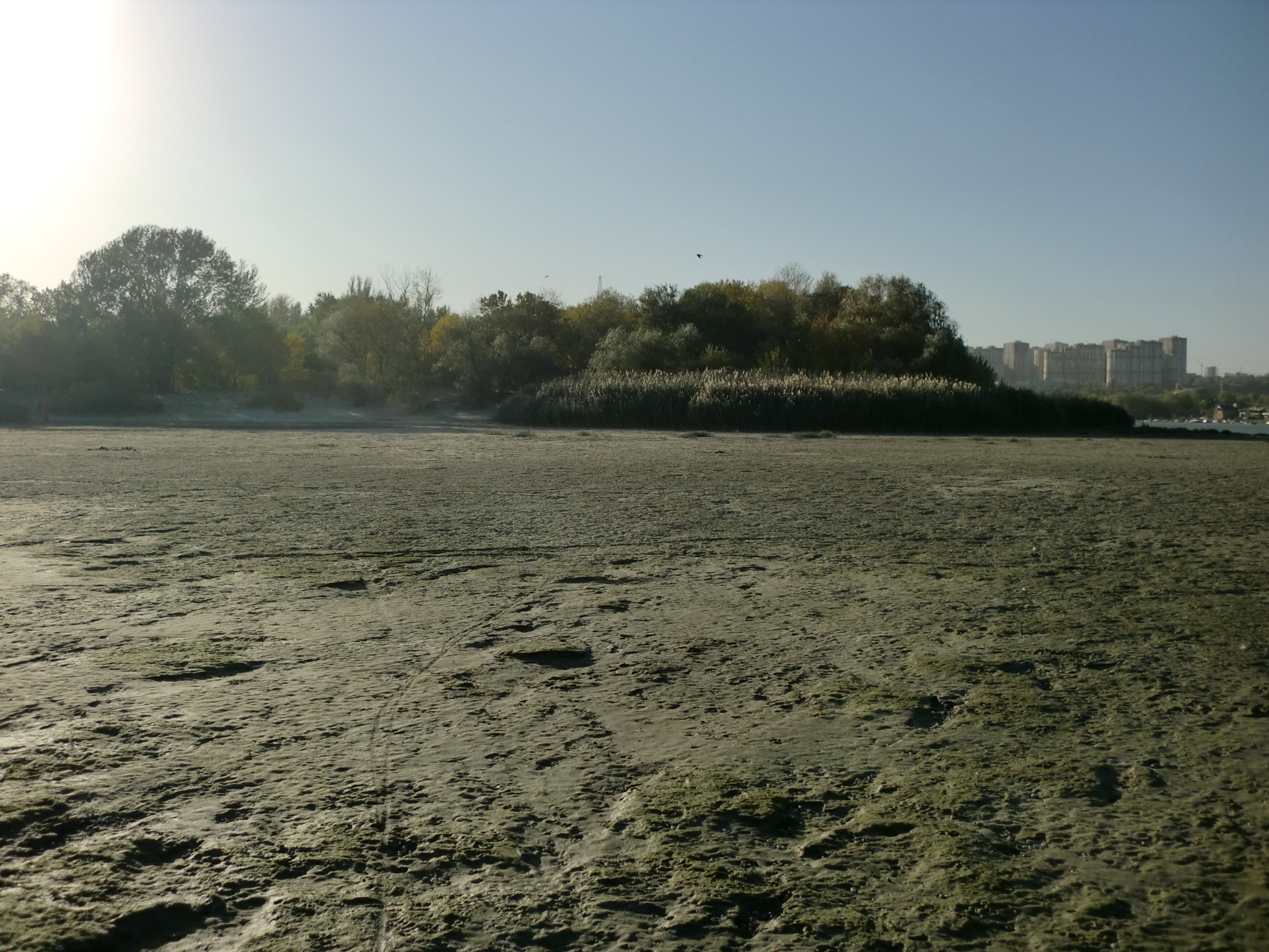 река дон уровень воды сегодня фото