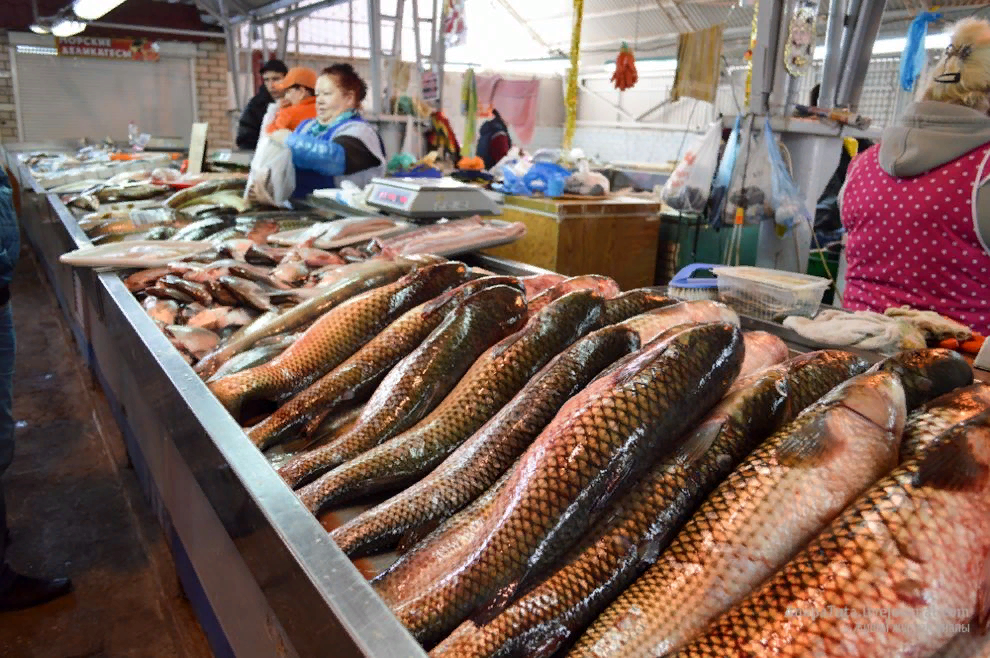 Купили на рынке рыбу. Темрюк рынок рыба. Рыбный рынок в Темрюке. Рыбный рынок в Темрюке 2023. Темрюк рынок Центральный.