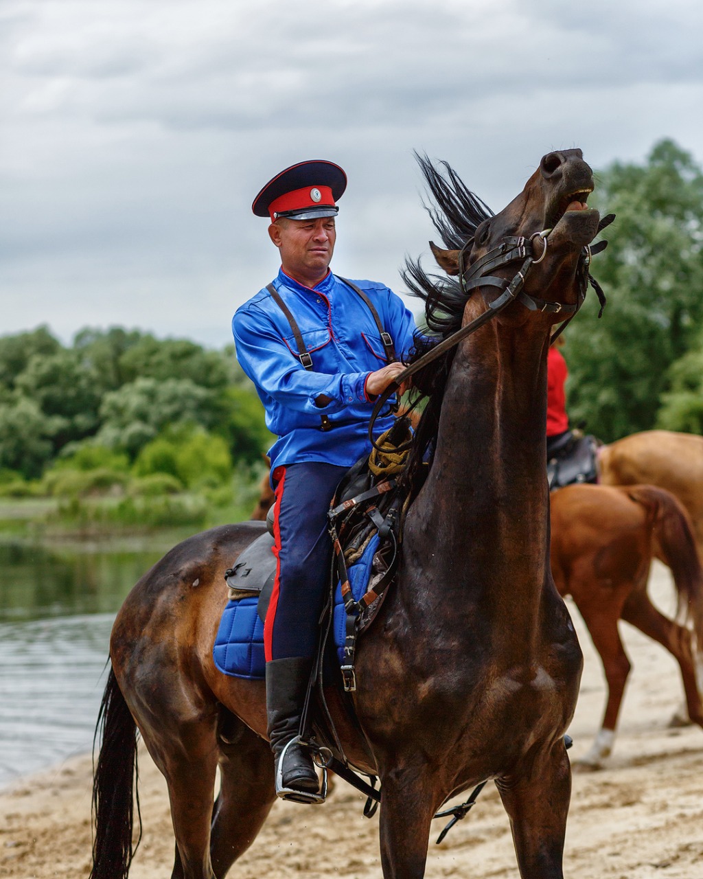 Конь московский казачий