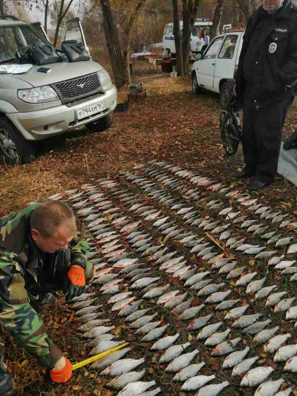 В ростове на дону поймали. Рыбоохрана. Рыба в Дону.