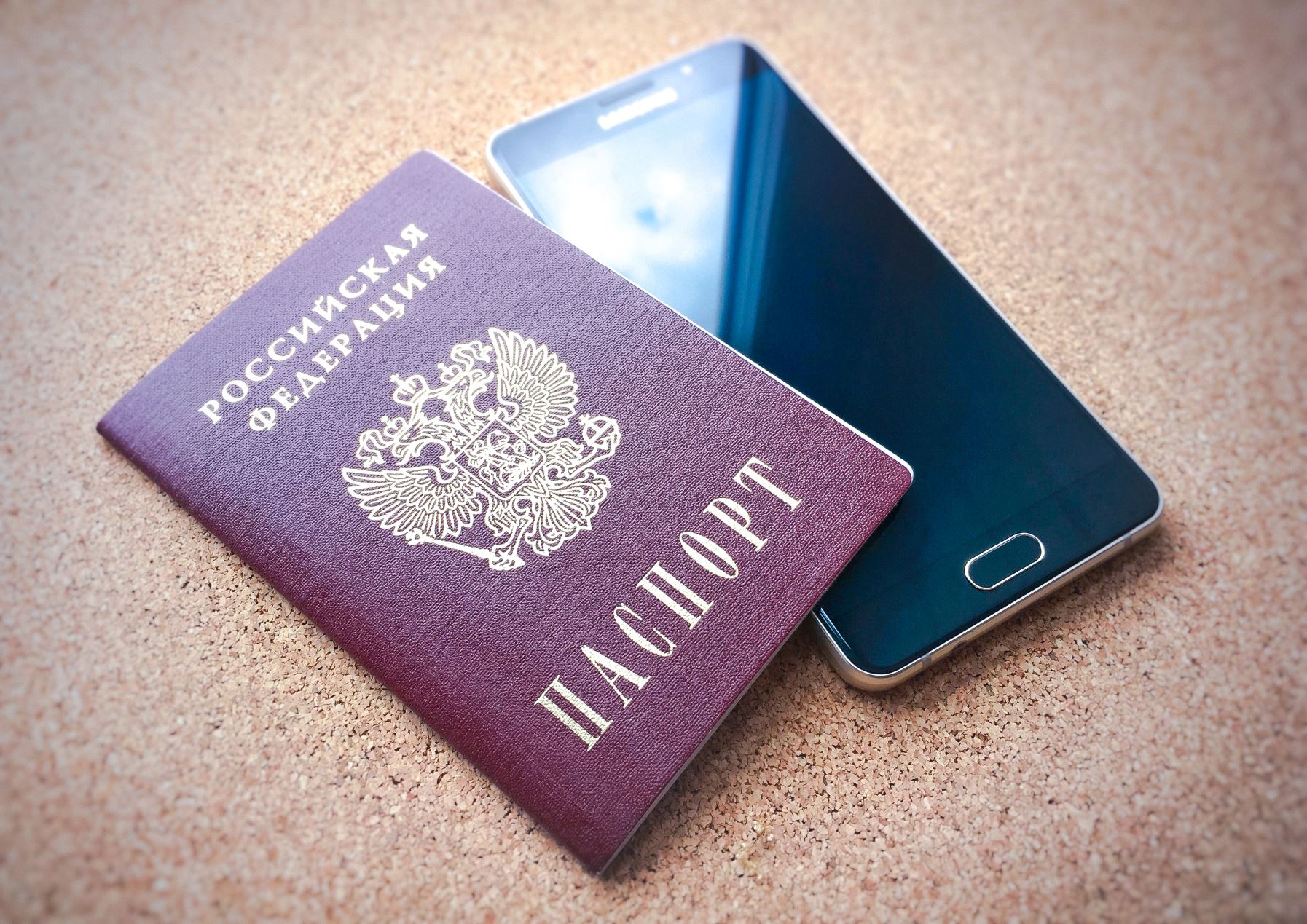 Паспорт в смартфоне