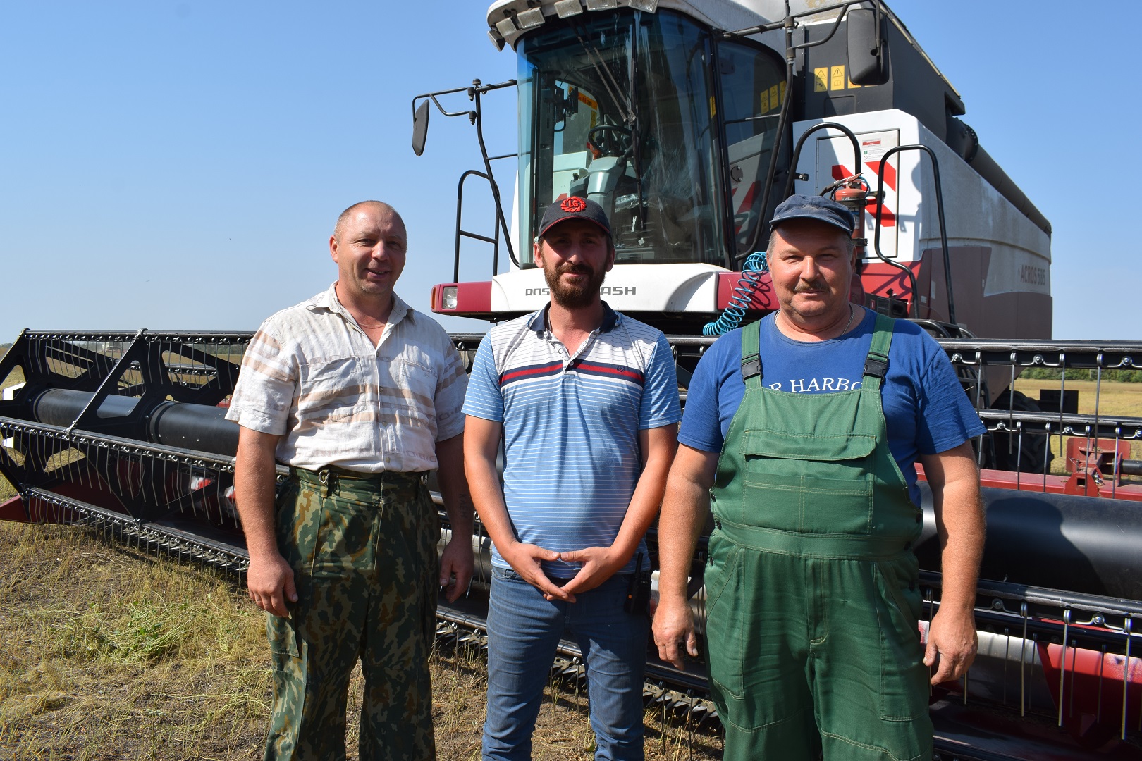 Новости рынка масличных. Уборка льна масличного.