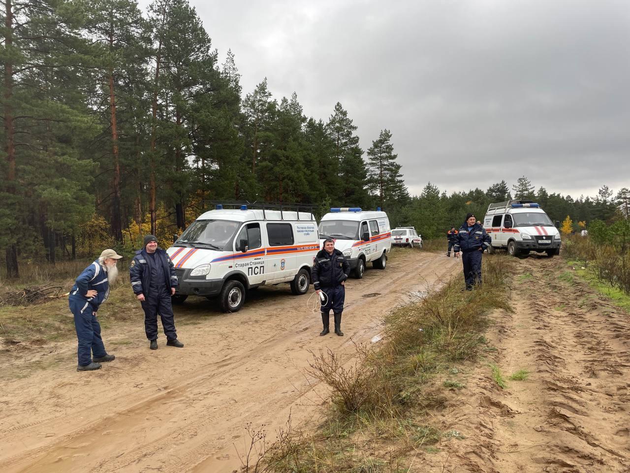 ДОН24 - Услышал лай собак: пропавший в Ростовской области грибник сам вышел  из леса