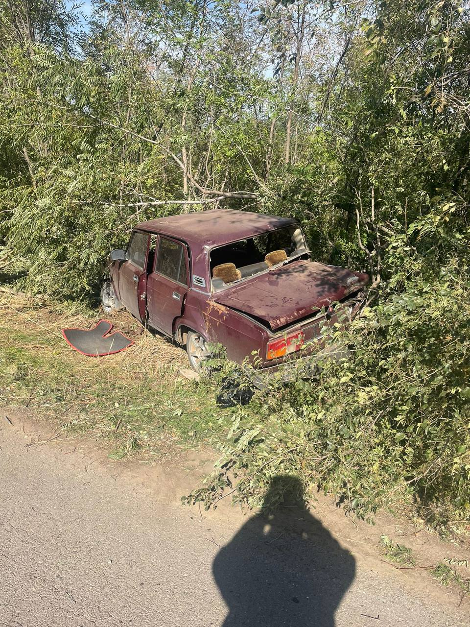 ДОН24 - В Орловском районе водитель легковушки погиб после столкновения с  деревом