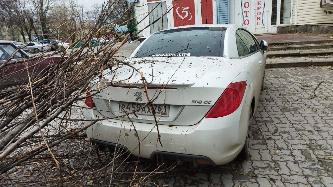 ДОН24 - «Строил Ниф-Ниф»: в Ростове ветром сдуло остановку