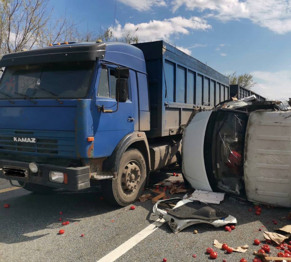 Подсолнух на трассе м4 Дон